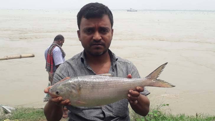 ১ কেজি ৩০০ গ্রাম ওজনের এক ইলিশের দাম ২৮৬০ টাকা!