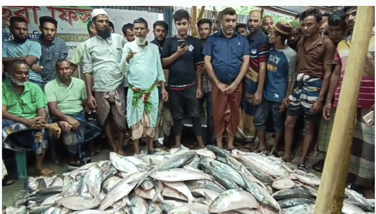 একবারেই ৪০ লাখ টাকার ইলিশ মিললো মিজান মাঝির জালে!