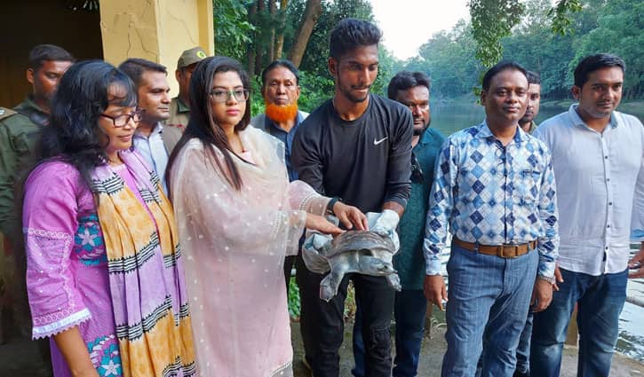 গাজীপুরে অবমুক্ত হলো কুমিল্লাতে থেকে উদ্ধার সেই ৪৫ কচ্ছপ কচ্ছপ