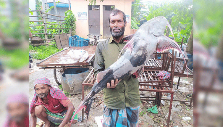 বাগাড়