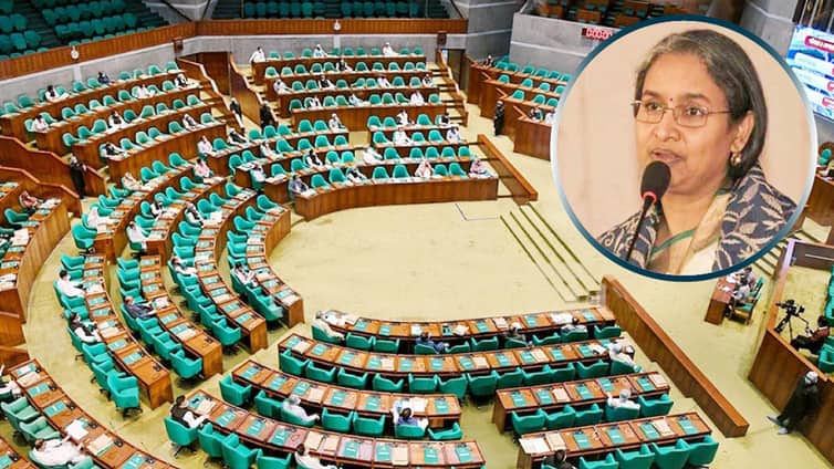 আরো দুই পাবলিক বিশ্ববিদ্যালয় স্থাপনে বিল সংসদে