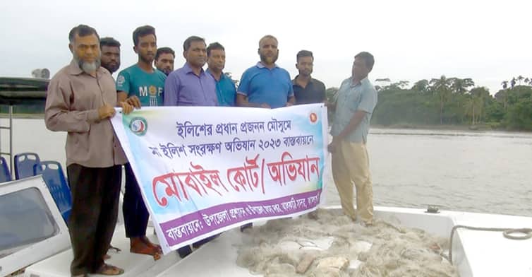 ইলিশ