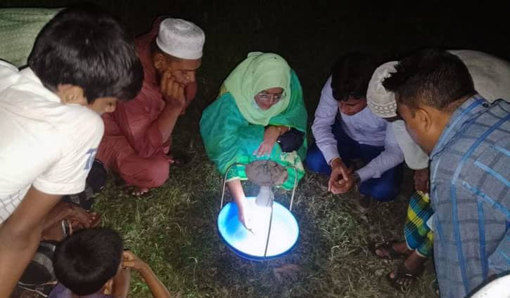 ফসল ঠেকাতে আলোর ফাঁদ ফসল ঠেকাতে আলোর ফাঁদ