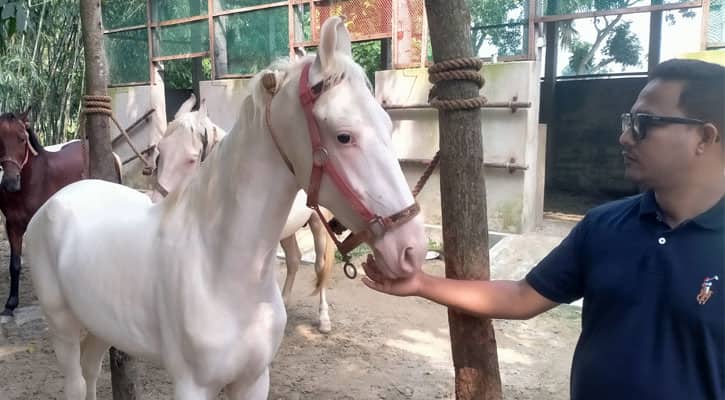 দেশের প্রথম বাণিজ্যিক ঘোড়ার খামার, বিস্মিত স্থানীয়রা