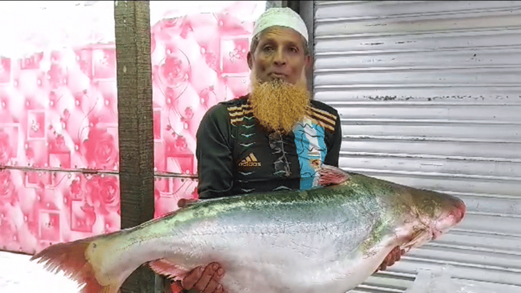 সাগরে জাল ফেলে মিলল ১৬ কেজির পাঙ্গাস