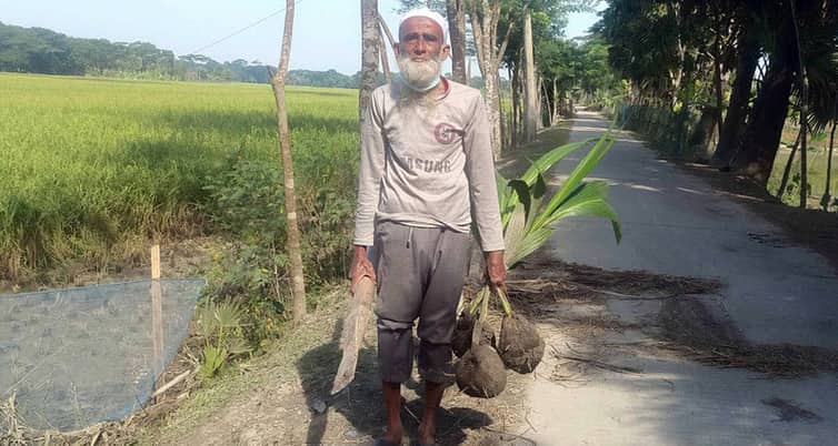 গাছ লাগানো