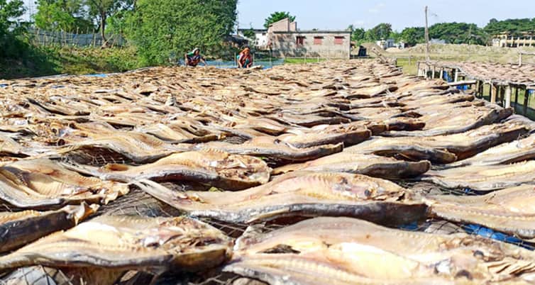 মিঠাপানির শুঁটকি