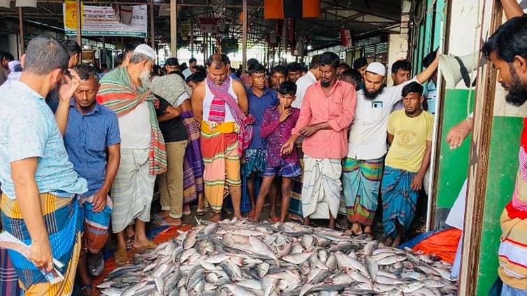 এক ট্রলারে ধরা পড়েছে ৭ লাখ টাকার ইলিশ