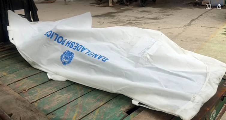 বিড়াল হারিয়ে যাওয়ার গৃহবধূর কাণ্ড গৃহবধূর কাণ্ড