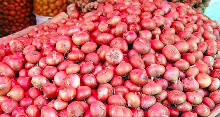 পেঁয়াজ