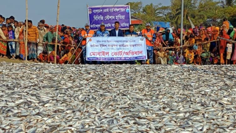 ৪২০ মণ জাটকা ইলিশ জব্দ, আটক ১৬ ৪২০ মণ জাটকা ইলিশ জব্দ