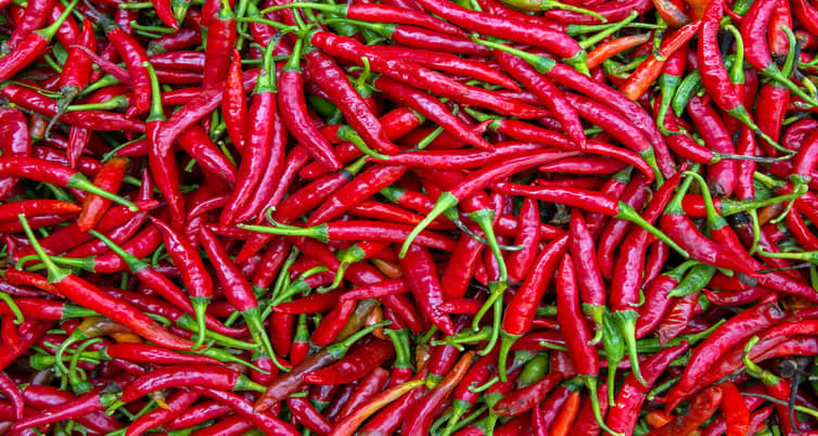 লাল মরিচ