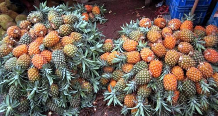 Pineapple