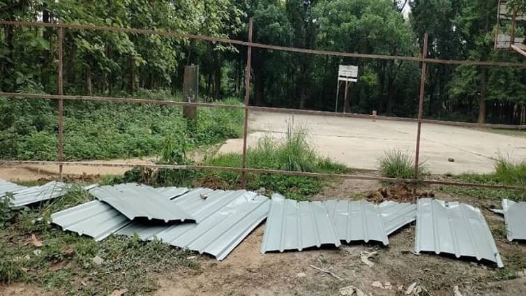 জাবিতে ‘৫০০ গাছ কেটে’ ভবন নির্মাণের আয়োজন, যা করলেন শিক্ষার্থীরা