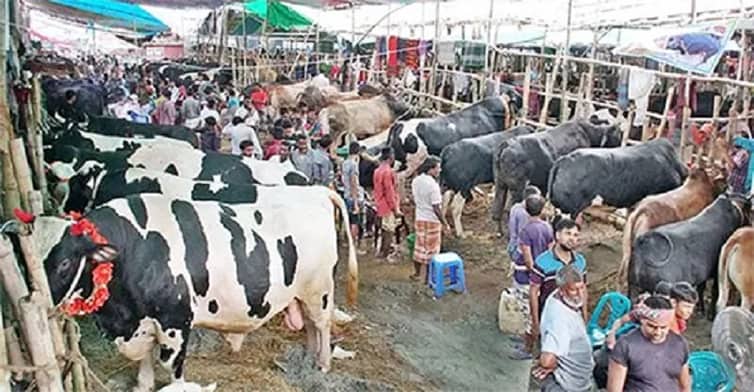 আফতাবনগরে পশুরহাট বসানোয় নিষেধাজ্ঞা