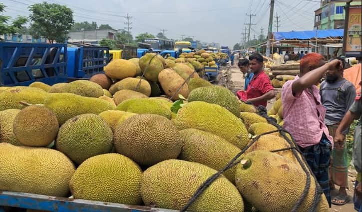 দেশের সর্ববৃহৎ কাঁঠালের হাট জৈনা বাজার, বেচাকেনা জমজমাট