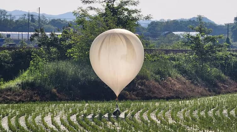 Belon