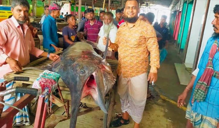 ২০০ কেজি ওজনের পাখি মাছ ৪৭ হাজার টাকায় বিক্রি পাখি মাছ