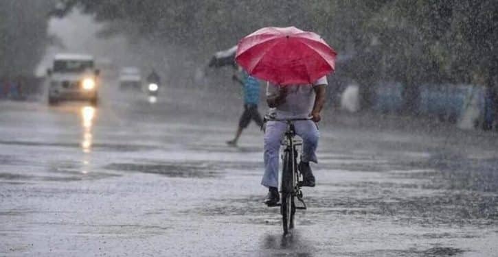 Rain