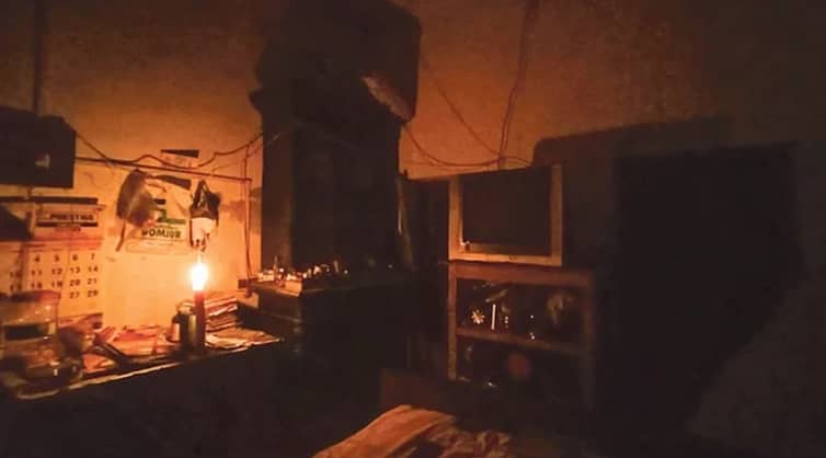 এক সাপের কারণে অন্ধকারে ১১ হাজার বাসিন্দা
