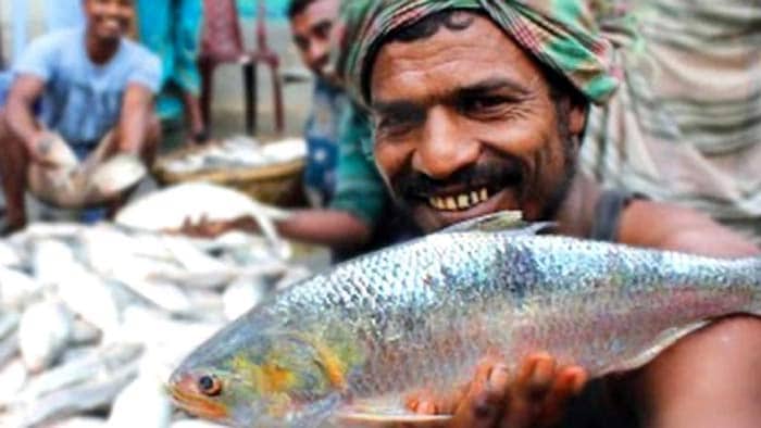 ইলিশ গবেষণায় মাইলফলক