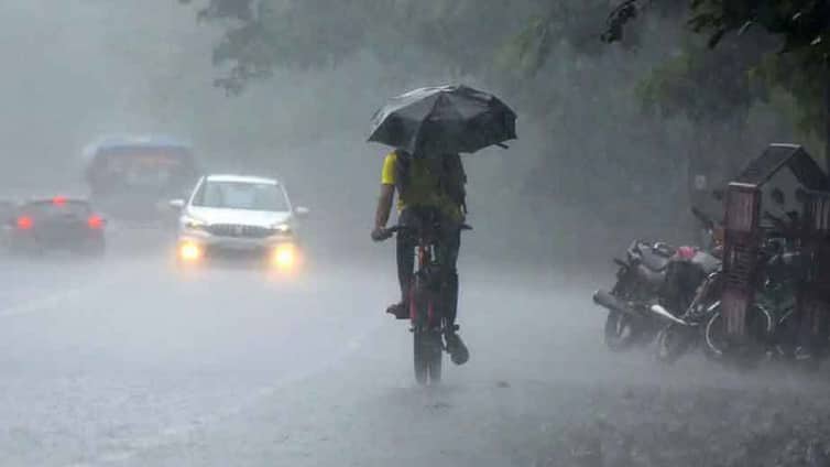 rain