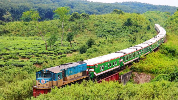 train
