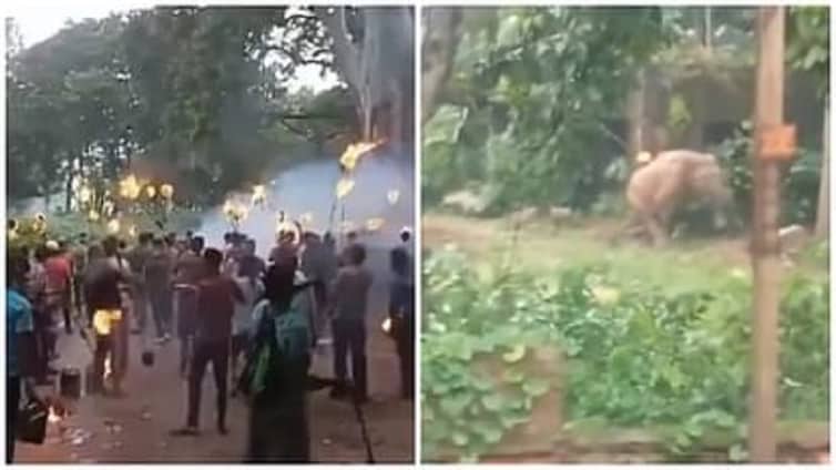 এবার পশ্চিমবঙ্গে এ কেমন বর্বরতা! villagers-try-to-drive
