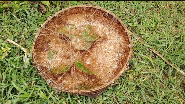 পিঁপড়ার ডিমের কেজি ১৫০০ টাকা