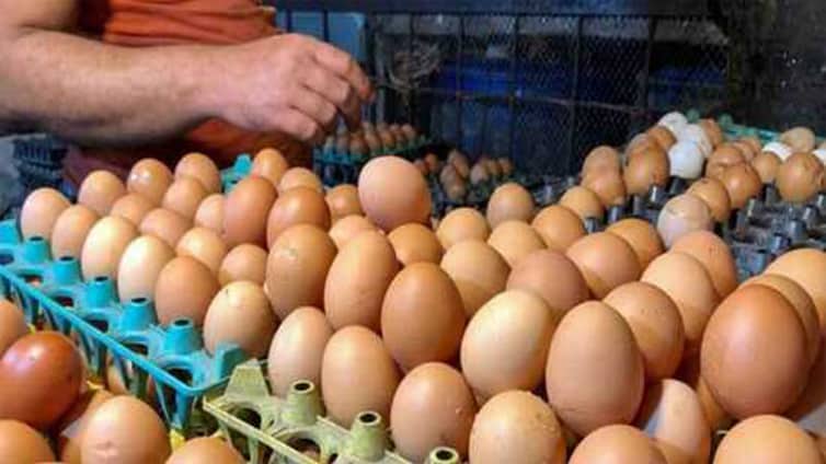 ডিম বিক্রি বন্ধ, জানা গেল কারণ Egg