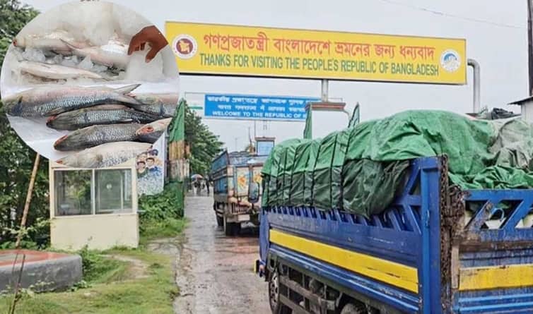 শেষ দিন পর্যন্ত ভারতে গেল ৫৩৩ টন ইলিশ India