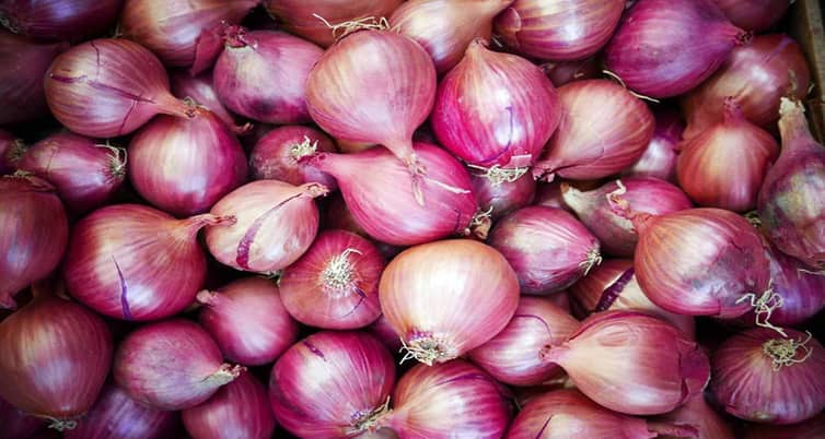 ২০ টাকা কেজিতে বিক্রি হচ্ছে পেঁয়াজ! Onion