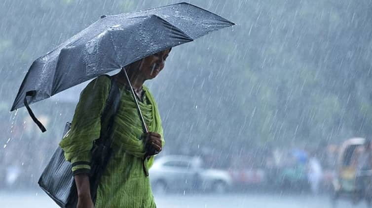 Rain