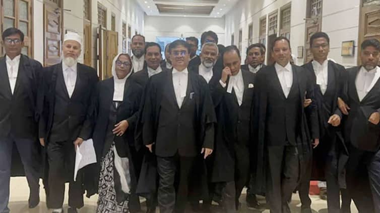 বিএনপির ৭ আইনজীবীকে অব্যাহতি, আবেদনকারীকে জরিমানা BNP