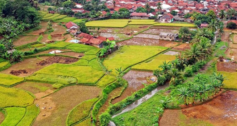 জমি কেনার আগে যেসব বিষয় জানা জরুরী Land-1