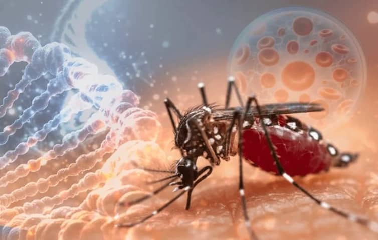 ডেঙ্গুতে একদিনেই ১০ জনের মৃত্যু