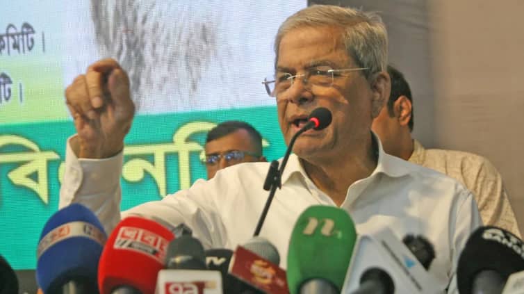 আওয়ামী লীগ রাজনীতি করতে পারবে কিনা নির্ধারণ করবে জনগণ: মির্জা ফখরুল