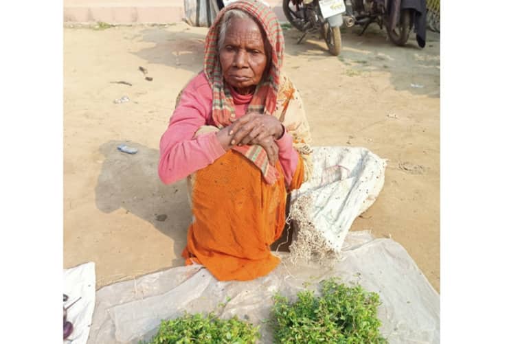 কুড়ানো শাকপাতা বিক্রি করেই সংসার চালান ৭২ বছরের বৃদ্ধা হেমরম hemrom