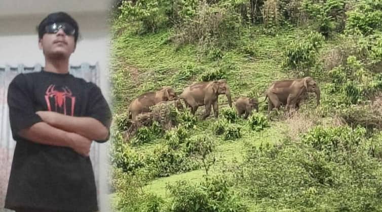 নেত্রকোনায় হাতির আক্রমণ