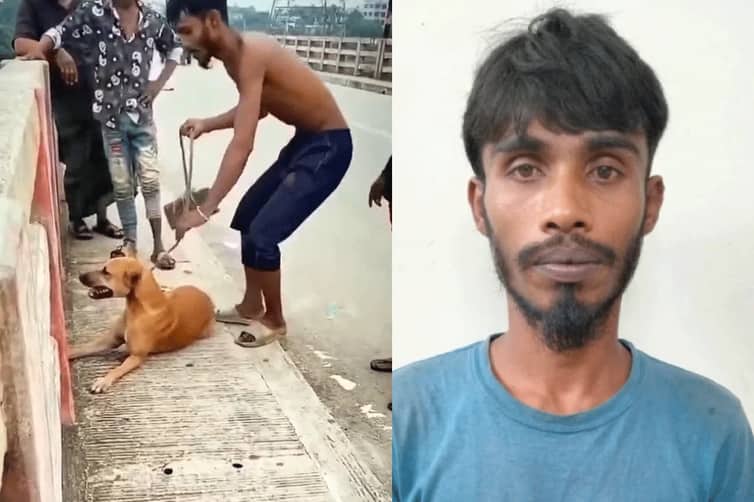 কুকুর