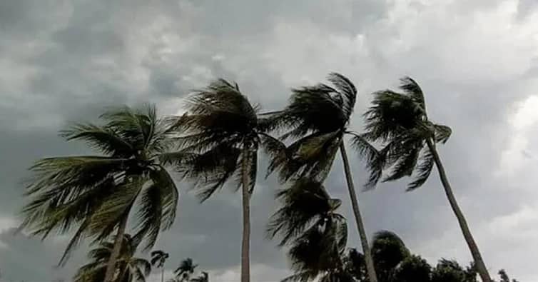ঝড়ের শঙ্কা