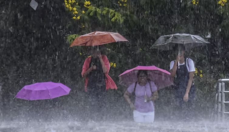 Maharashtra IMD Orange Alert Heavy Rain Forecast for Six Districts