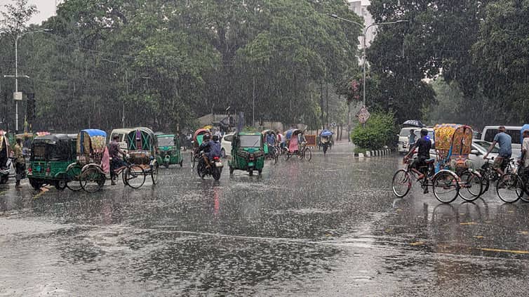 Rain