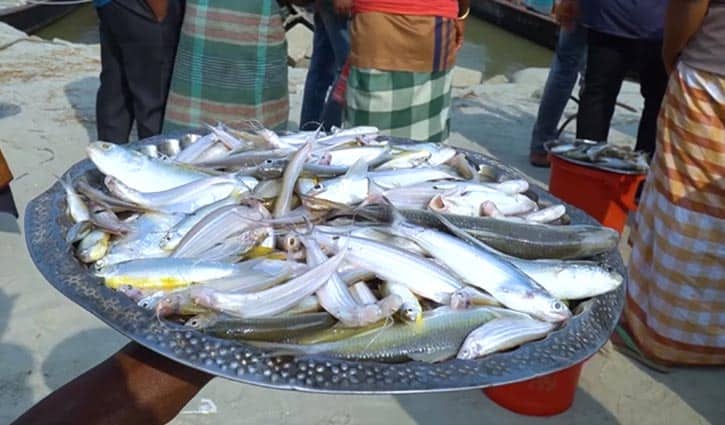 মাছ ধরার মহোৎসব