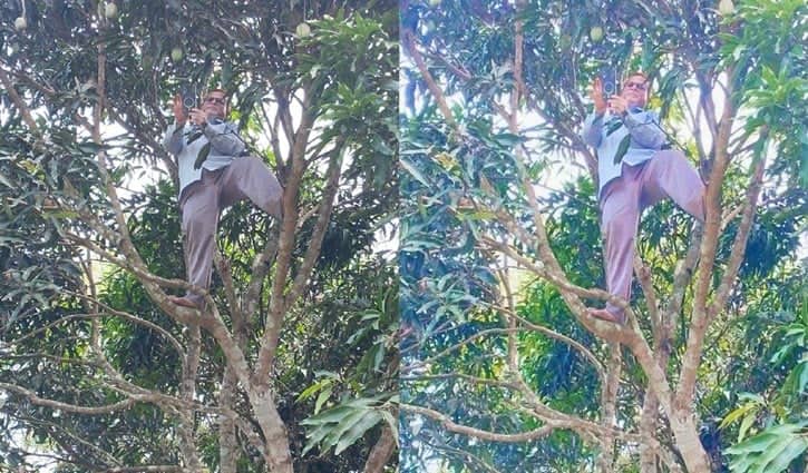 গাছে উঠে অনলাইনে হাজিরা দিলেন প্রধান শিক্ষক Tree