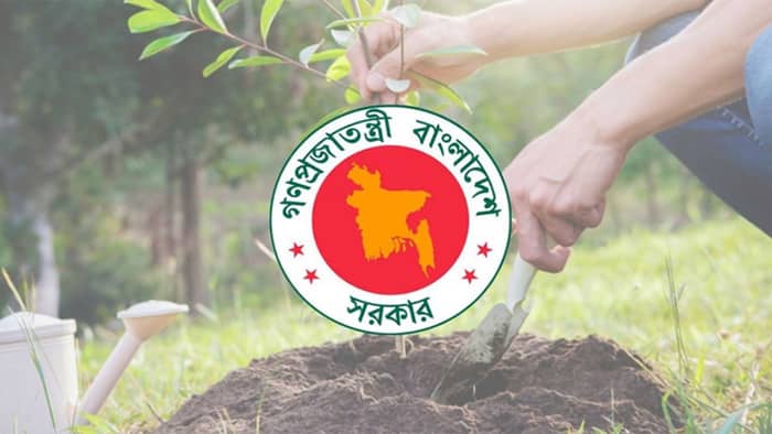 ২৫ কোটি গাছ রোপণ : বিলিয়ন ডলার আয়ের সুযোগ বাংলাদেশের ২৫ কোটি গাছ রোপণ