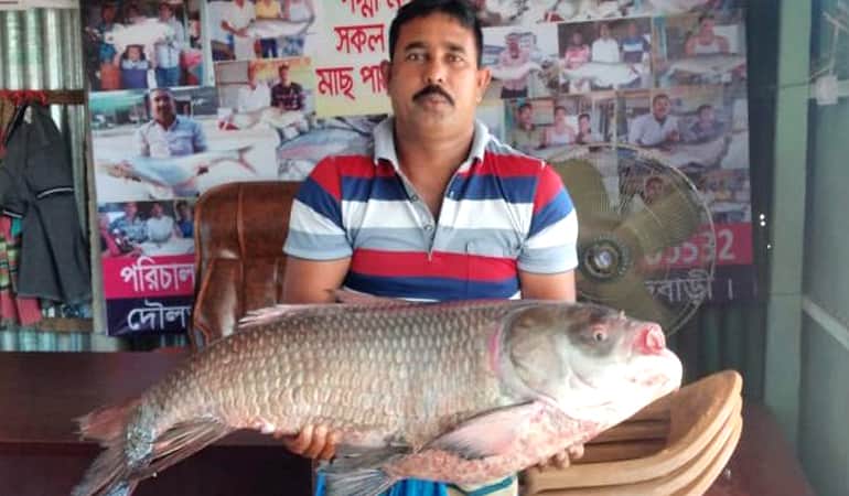 নারাণের জালে ধরা পড়া কাতলটি বিক্রি হলো ৩৬ হাজারে