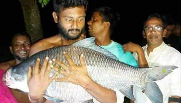 বড়শিতে ধরা পড়ল ৩০ কেজি ওজনের বিশালাকৃতির কাতল