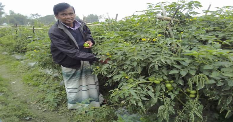 সবজি চাষে স্বাবলম্বী ব্রাহ্মণবাড়িয়ার কৃষক মহিউদ্দিন