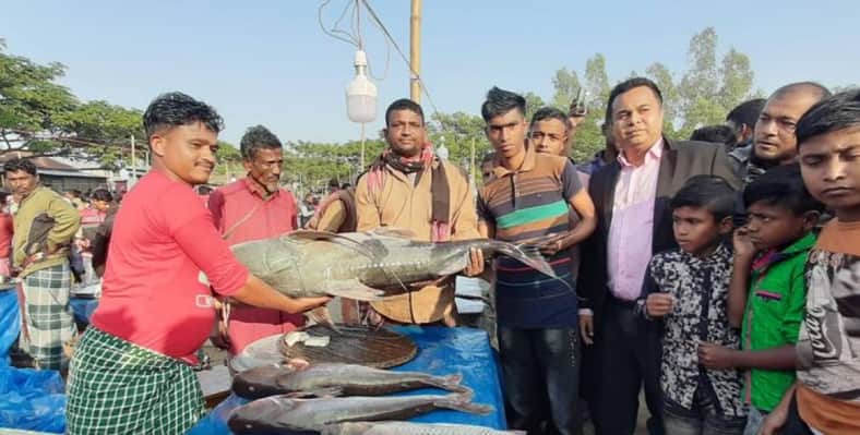 এক মাছের দাম ৮৫ হাজার টাকা